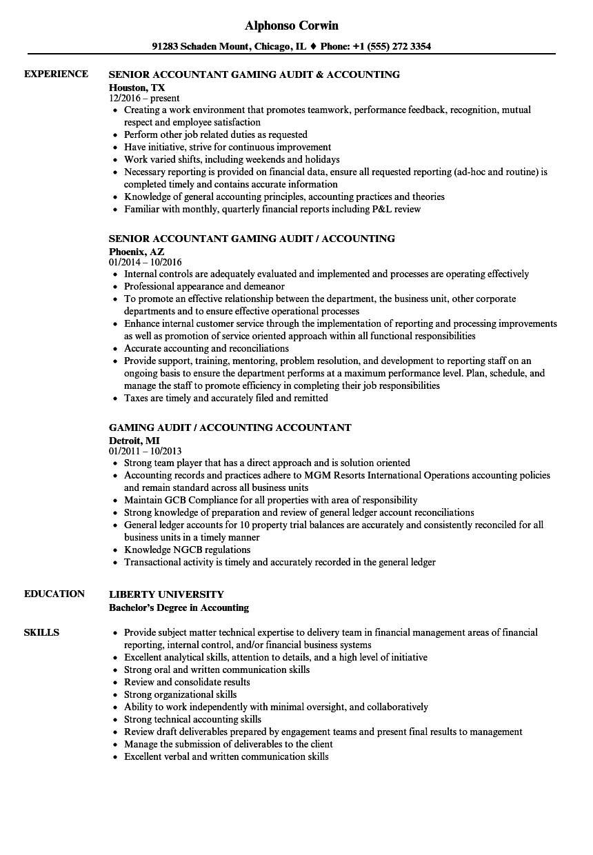 accountant auditor resume