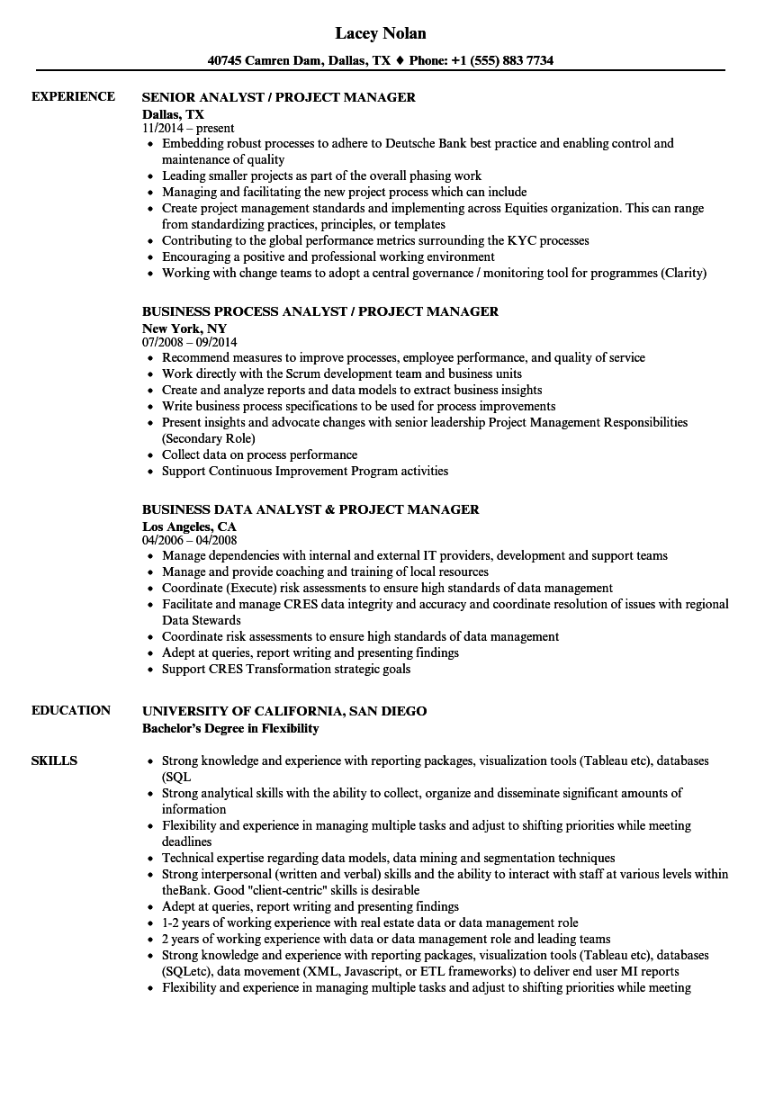 Analyst Project Manager Resume Samples | Velvet Jobs