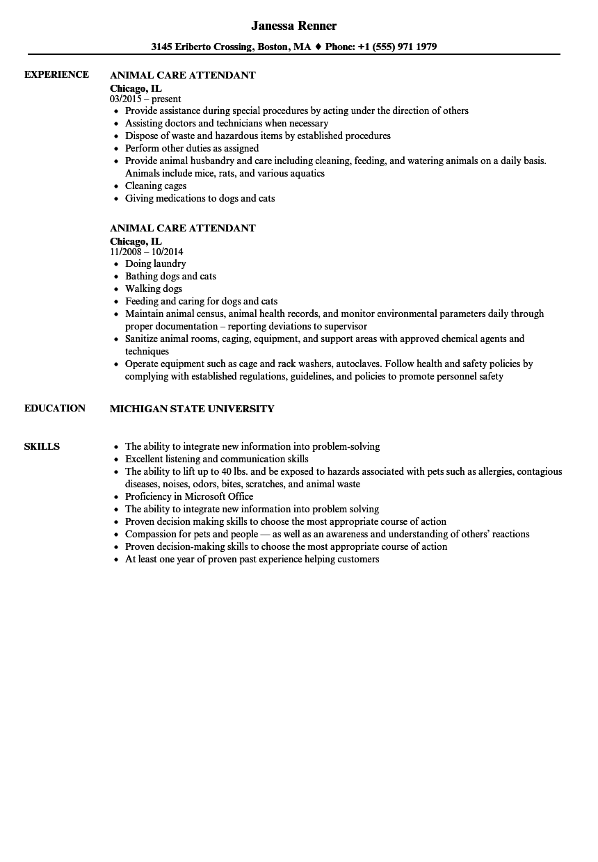 Kennel Attendant Sample Resume  sarahepps.com