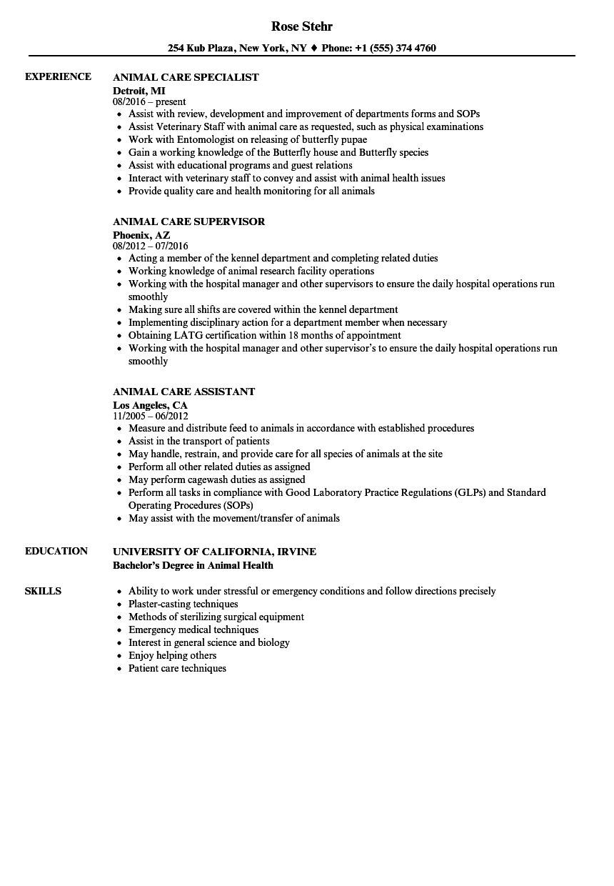 Animal Care Resume Samples  Velvet Jobs