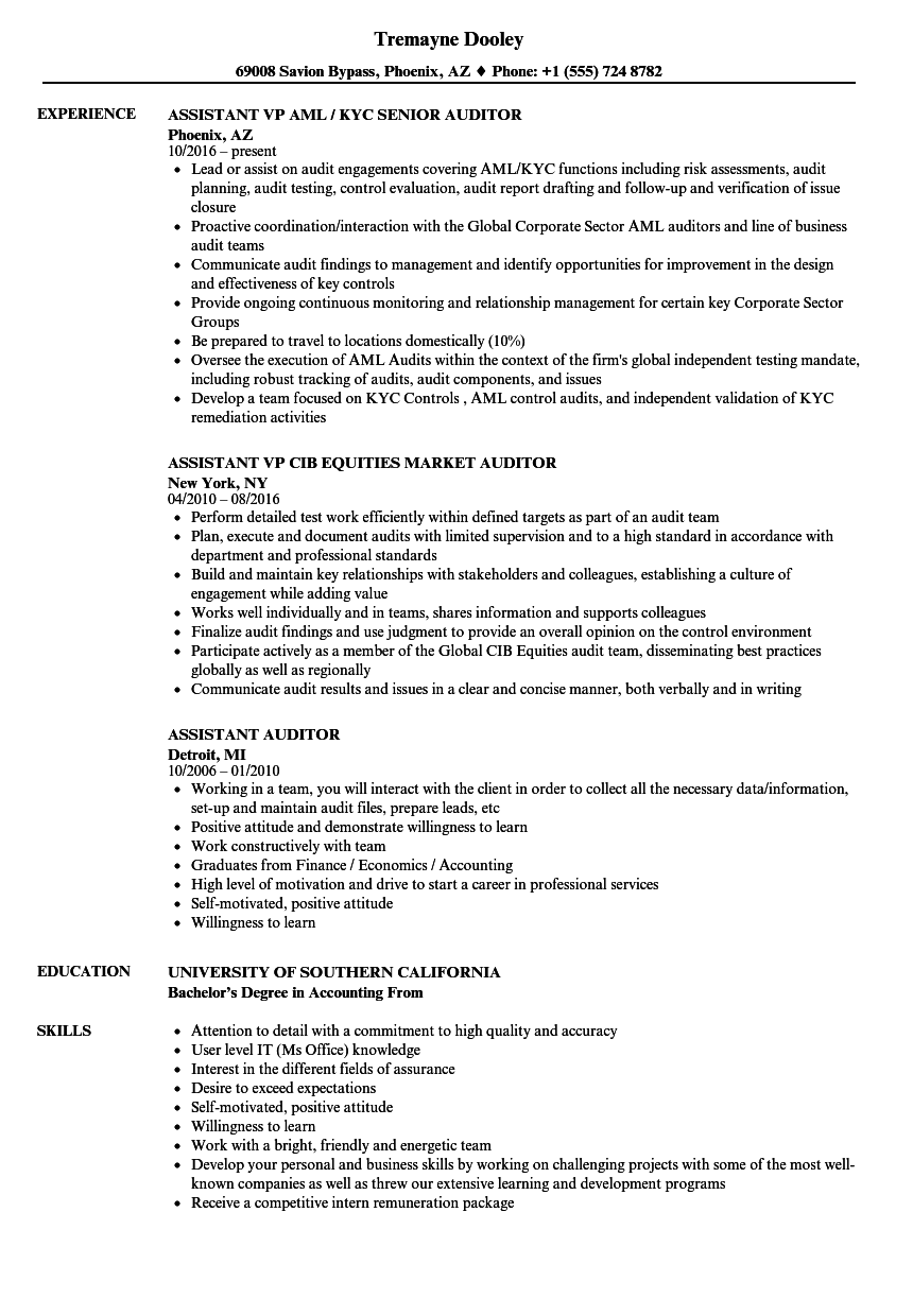 audit assistant job description resume