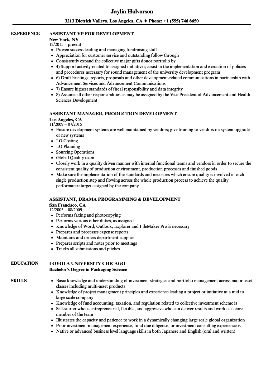 Assistant, Development Resume Samples | Velvet Jobs