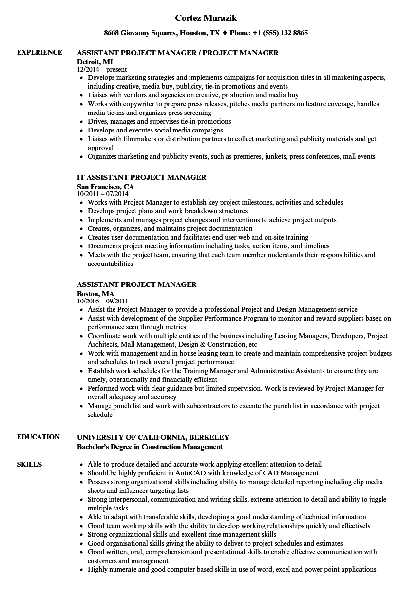 Project Management Assistant Resume Offering Exceptional Skills In 