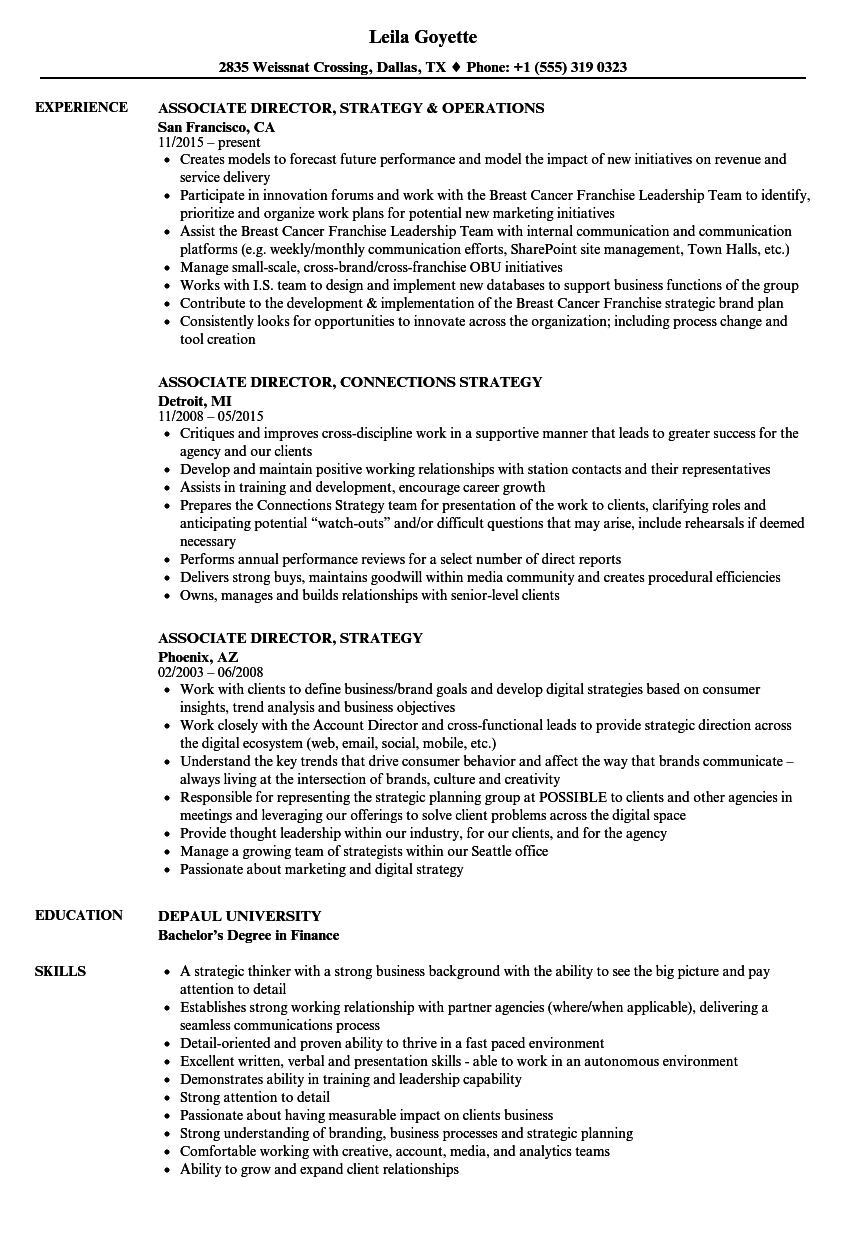 objective on a resume director