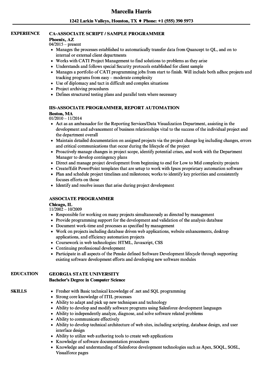 Associate Programmer Resume Samples  Velvet Jobs