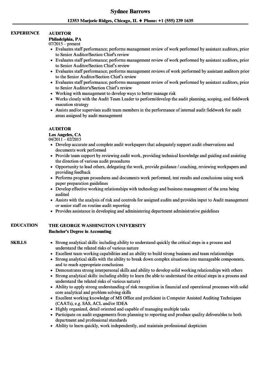 Auditor resume examples