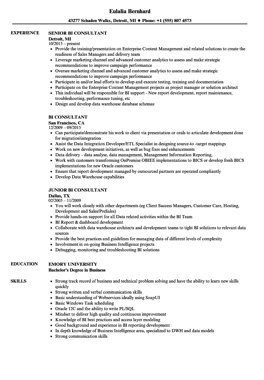 BI Consultant Resume Samples | Velvet Jobs