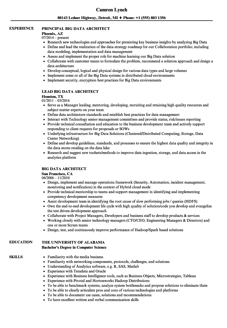 Big Data Architect Resume Samples