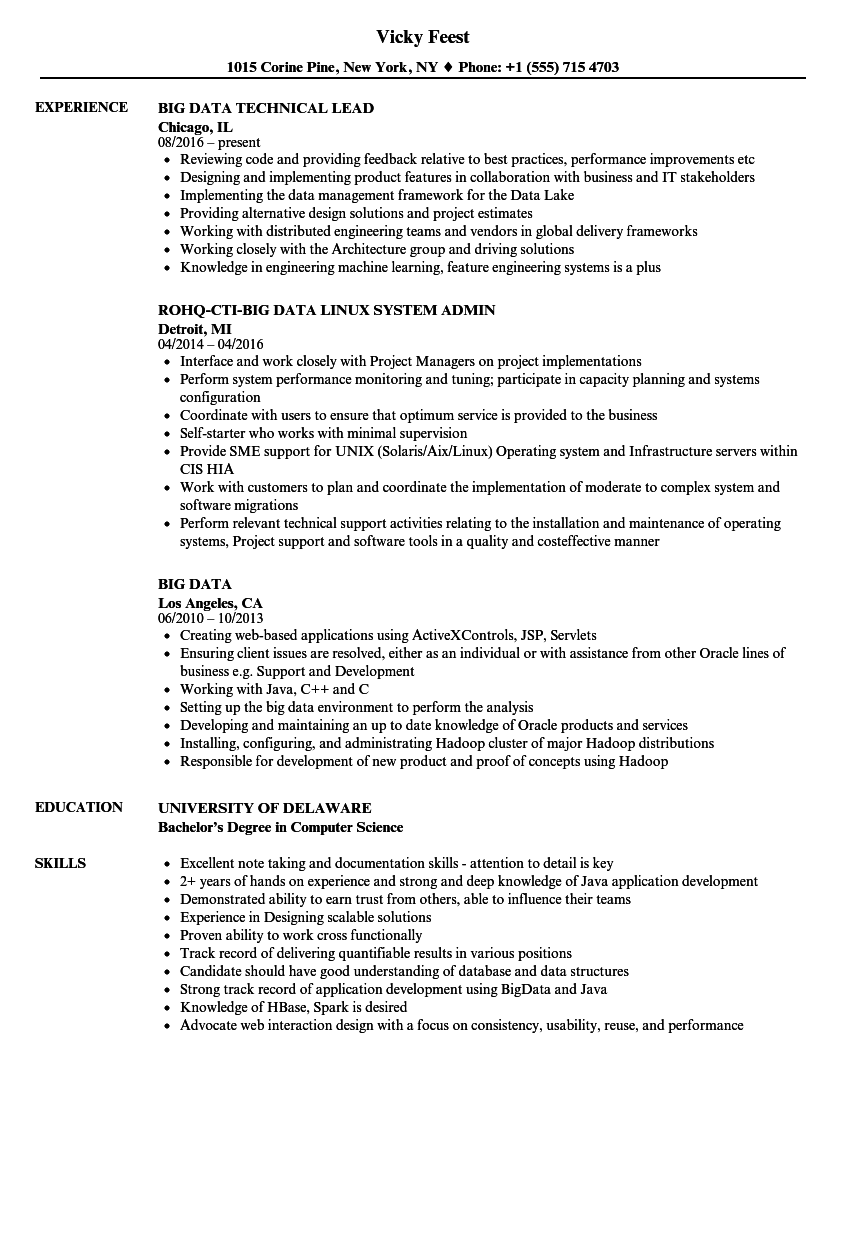 big data project manager resume