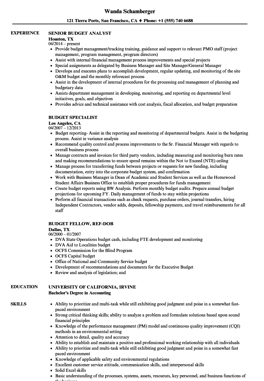 budget management resume example