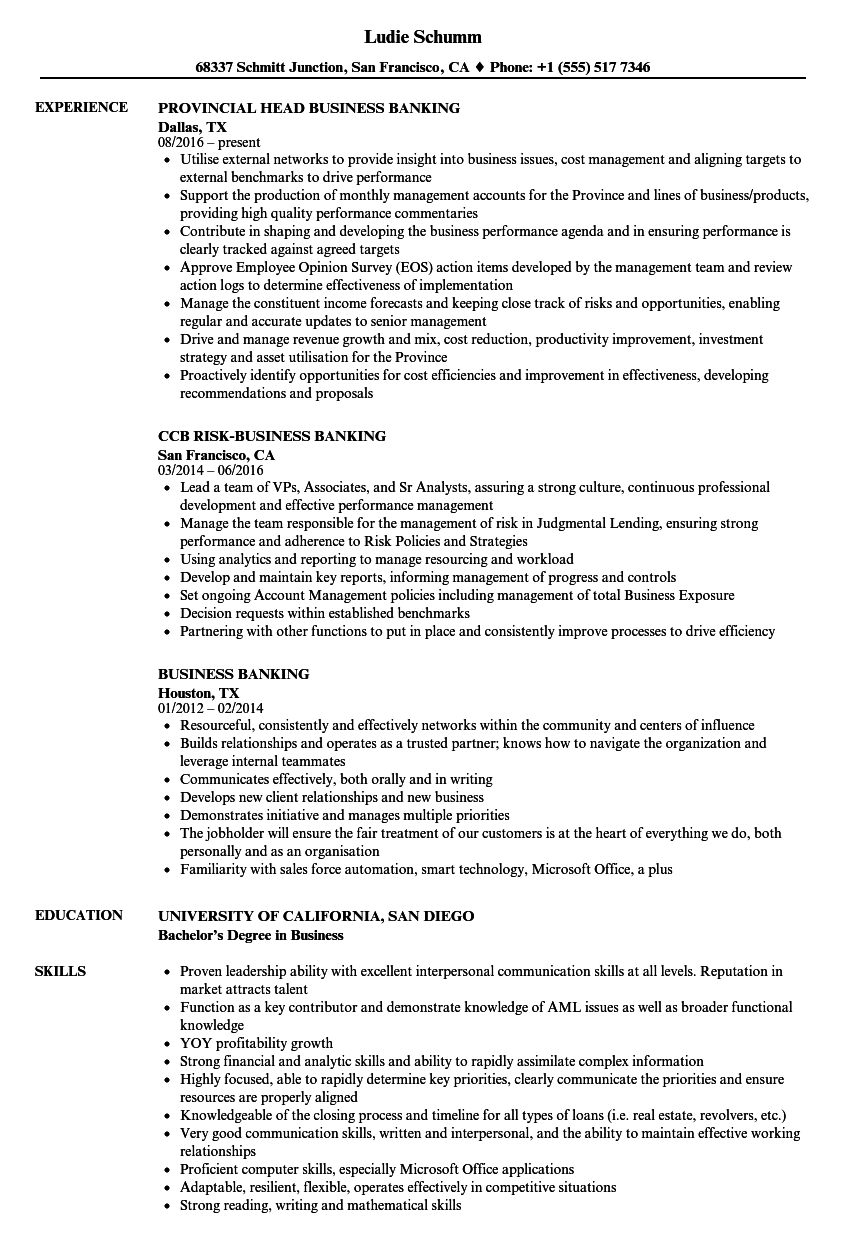 Business Banking Resume Samples | Velvet Jobs