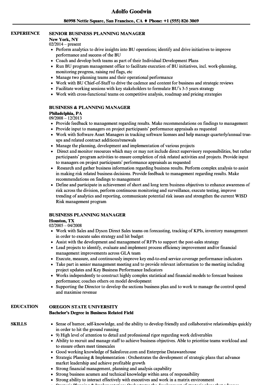 business planning manager resume