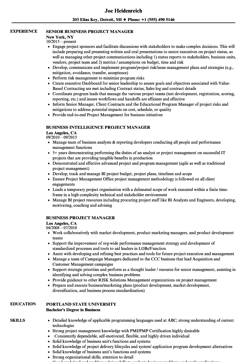 Business Project Manager Resume Samples Velvet Jobs