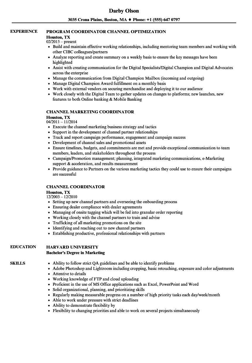 Channel Coordinator Resume Samples | Velvet Jobs