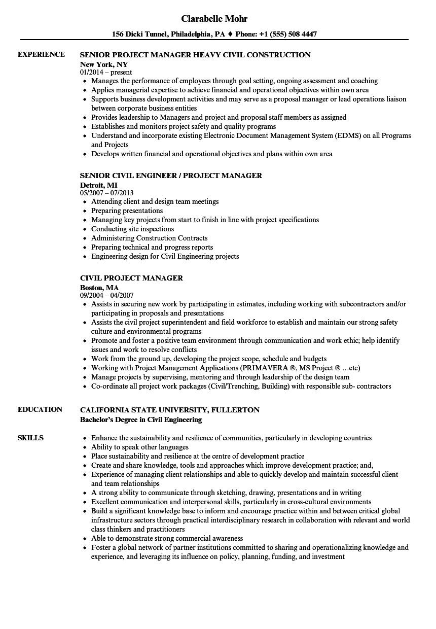 civil project manager resume sample india