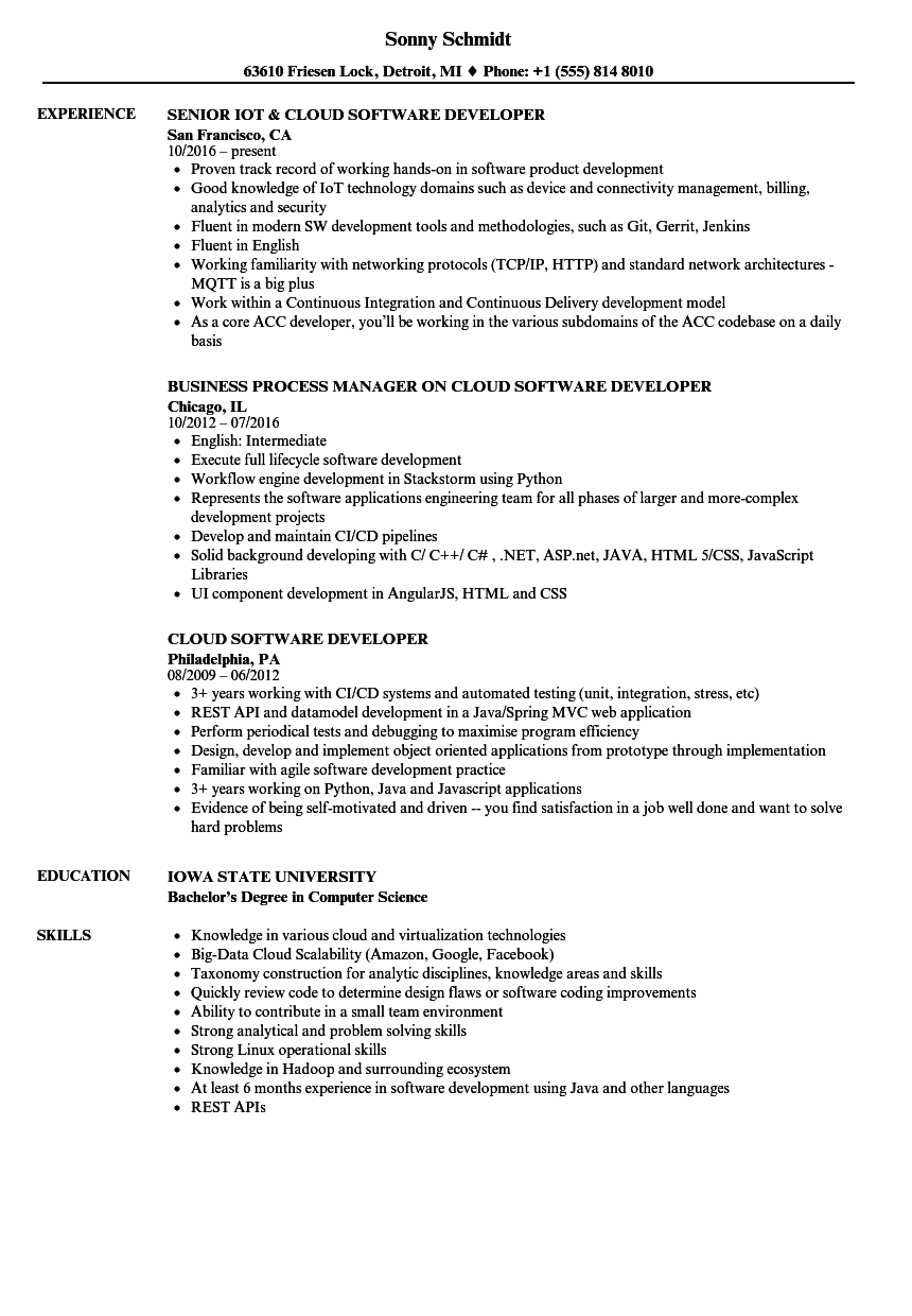 Cloud Software Developer Resume Samples  Velvet Jobs