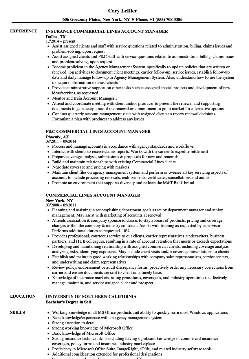 commercial lines account manager resume sample