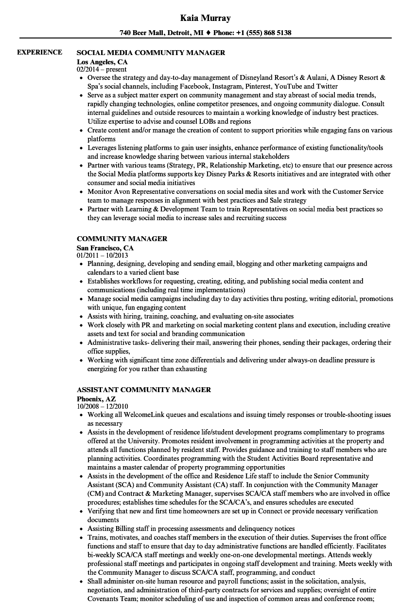 Community Manager Resume Sample