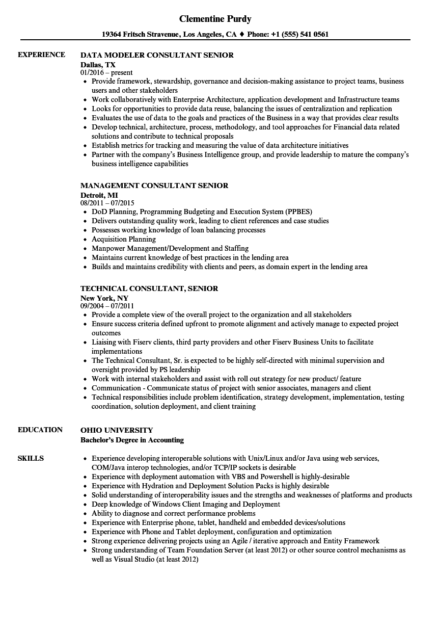 consultant  senior resume samples