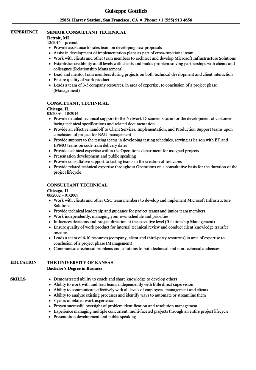 Consultant, Technical Resume Samples | Velvet Jobs