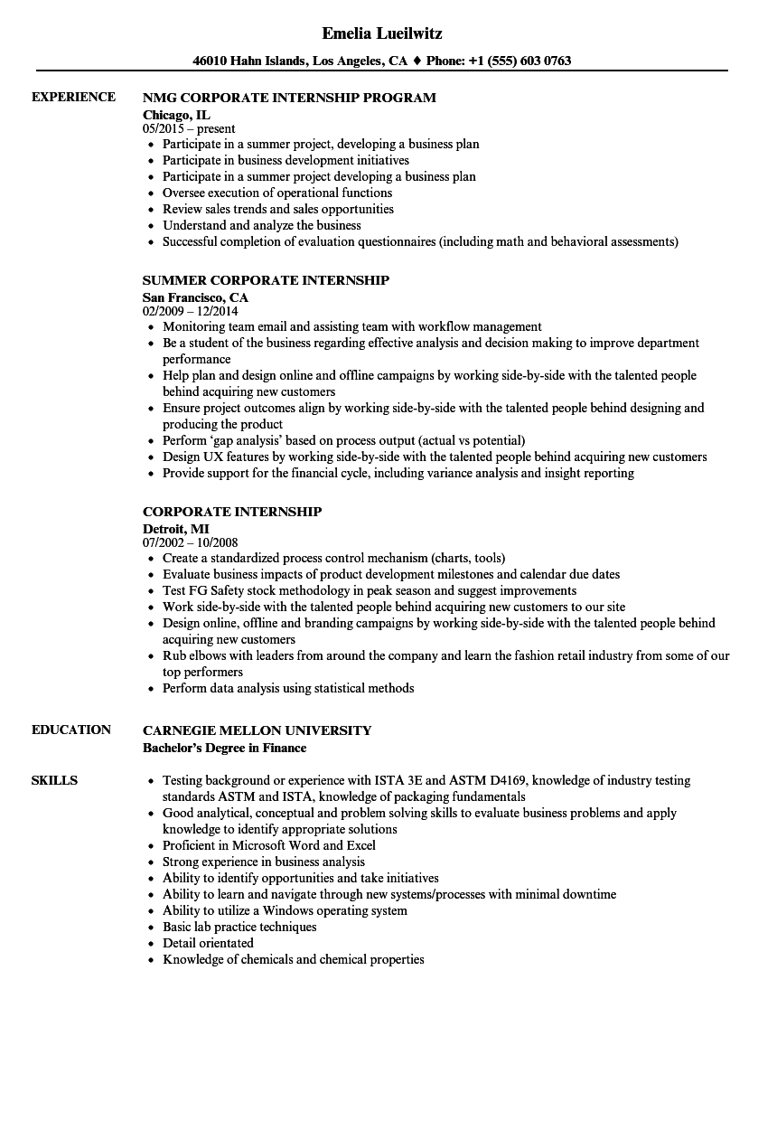 Internship Work Plan Template from www.velvetjobs.com