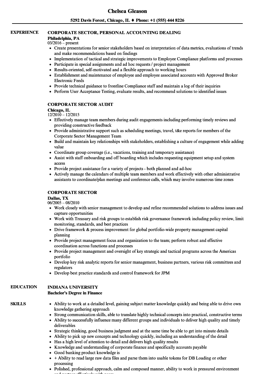 Employment history resume examples