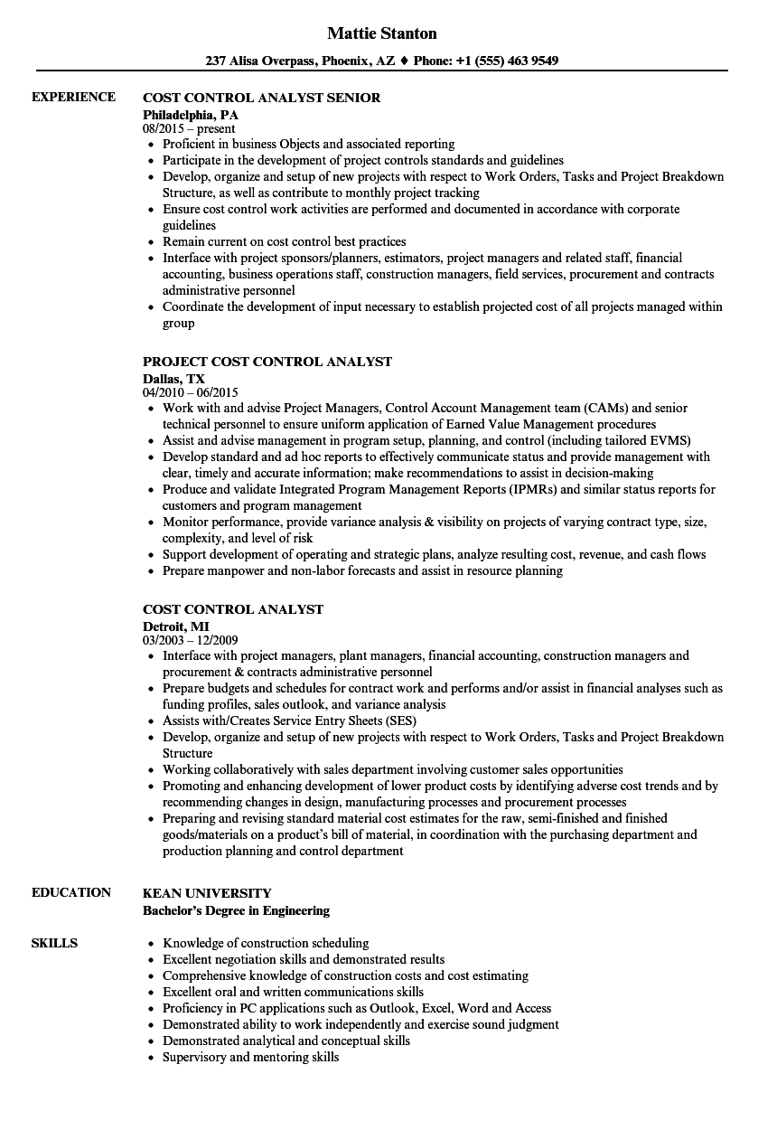 project cost control resume