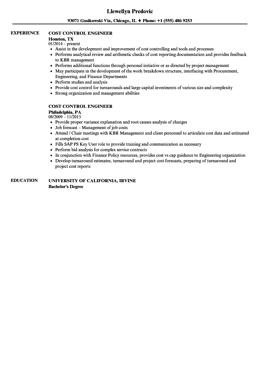 project cost control resume