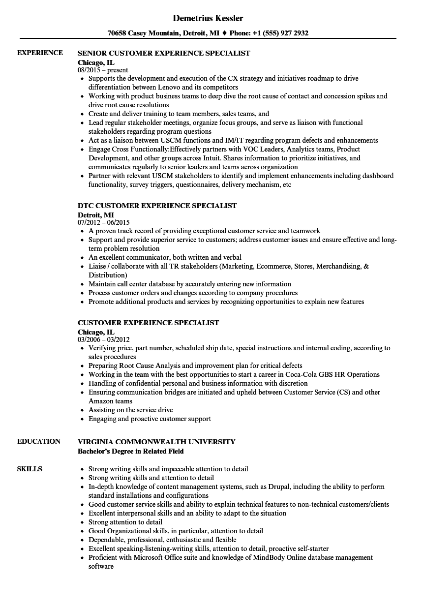 customer service experience resume sample