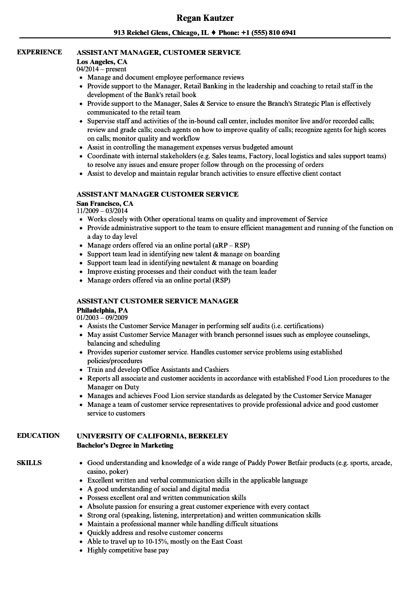 Food Lion Customer Service Leader Job Description Job Retro