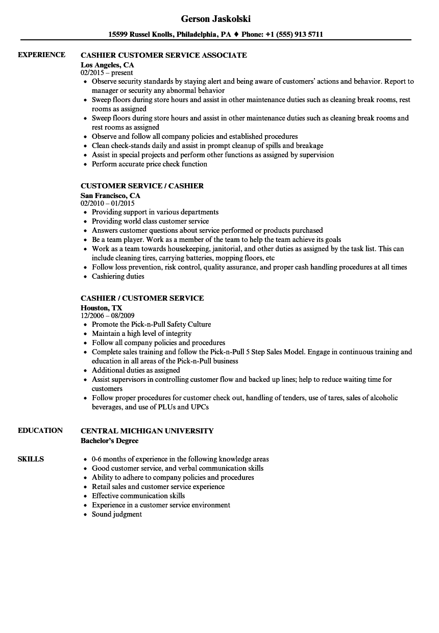 resume for customer service with experience