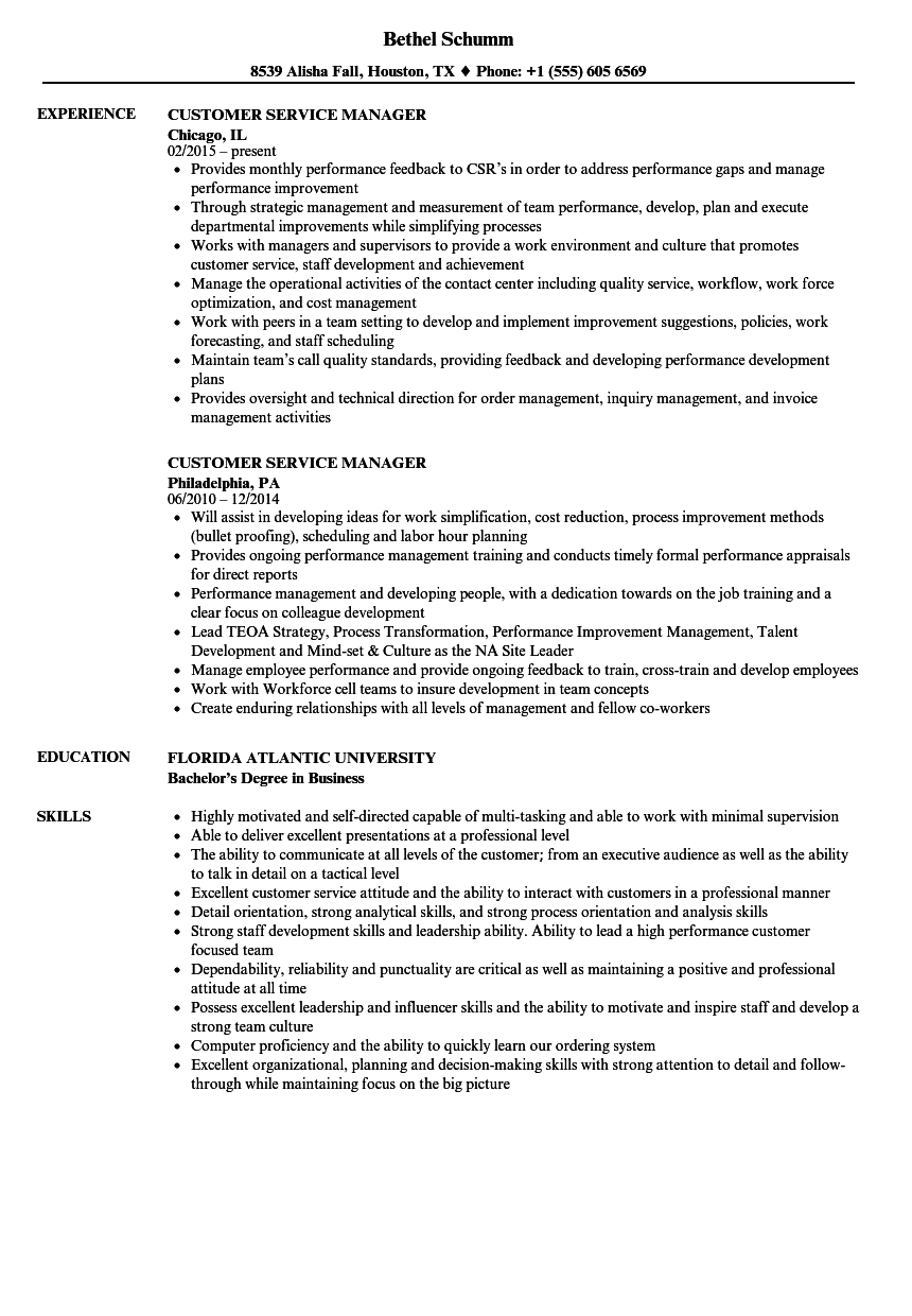 customer service project manager resume