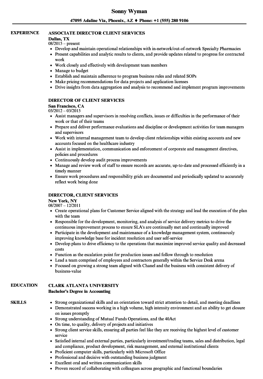 Director Client Services Resume Samples Velvet Jobs