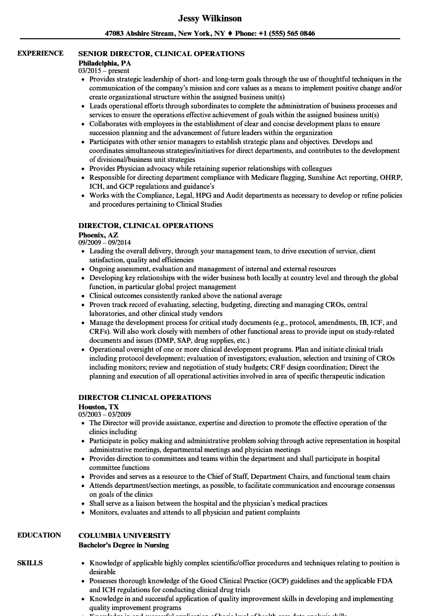 Resume Example Director Of Operations
