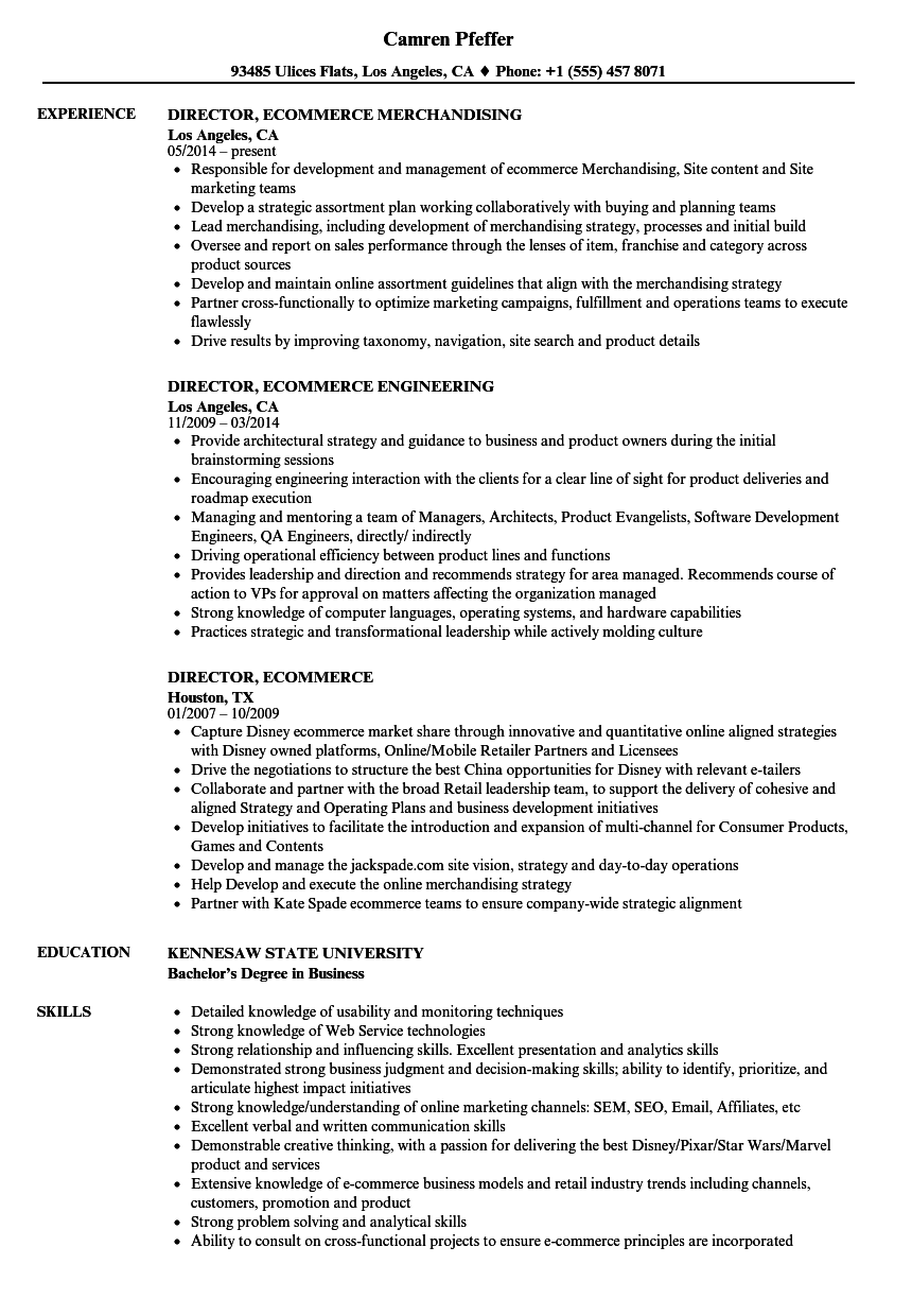 Director Ecommerce Resume Samples Velvet Jobs