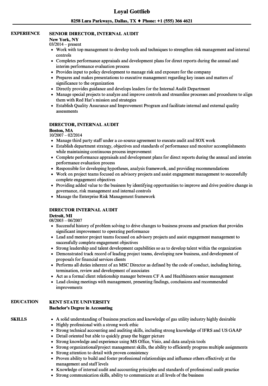 Director, Internal Audit Resume Samples | Velvet Jobs