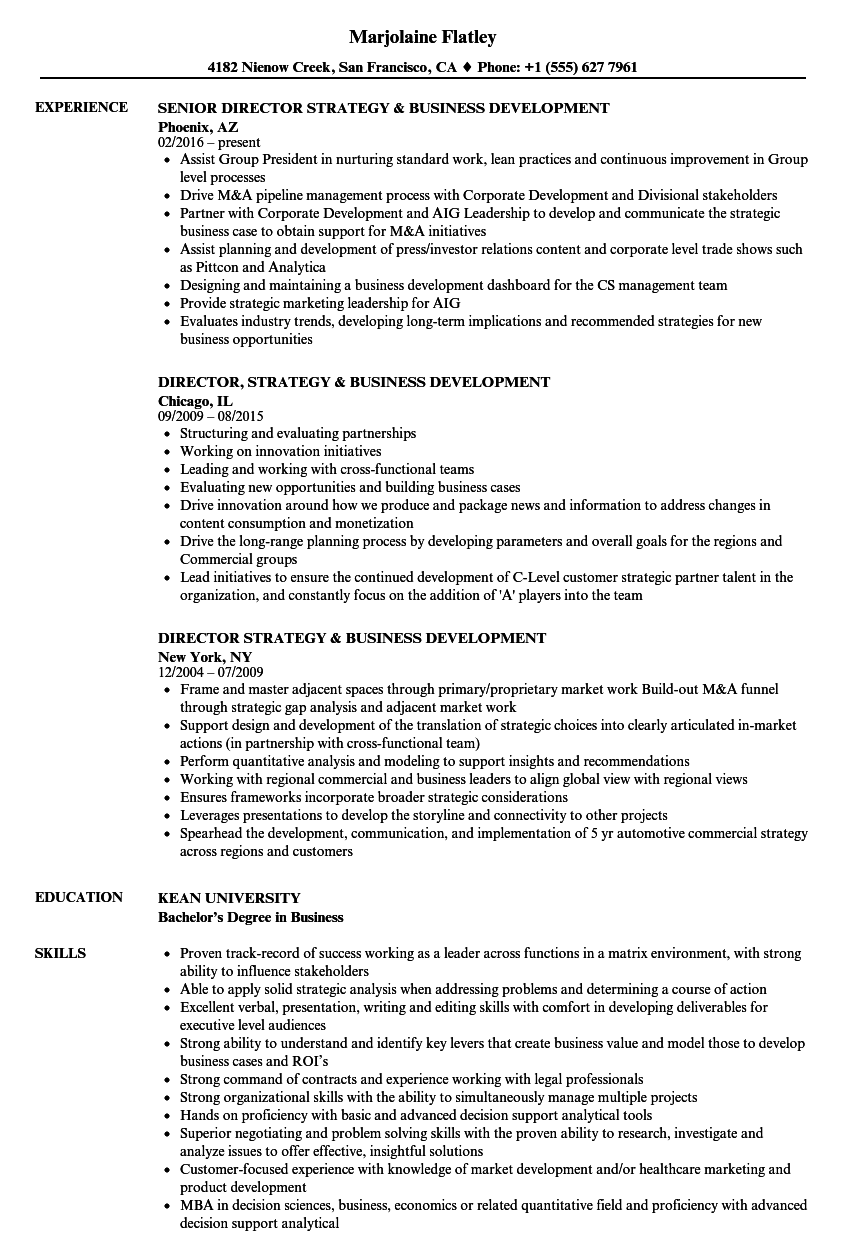 Cv Sample Business Development - Business Development Manager Resumes