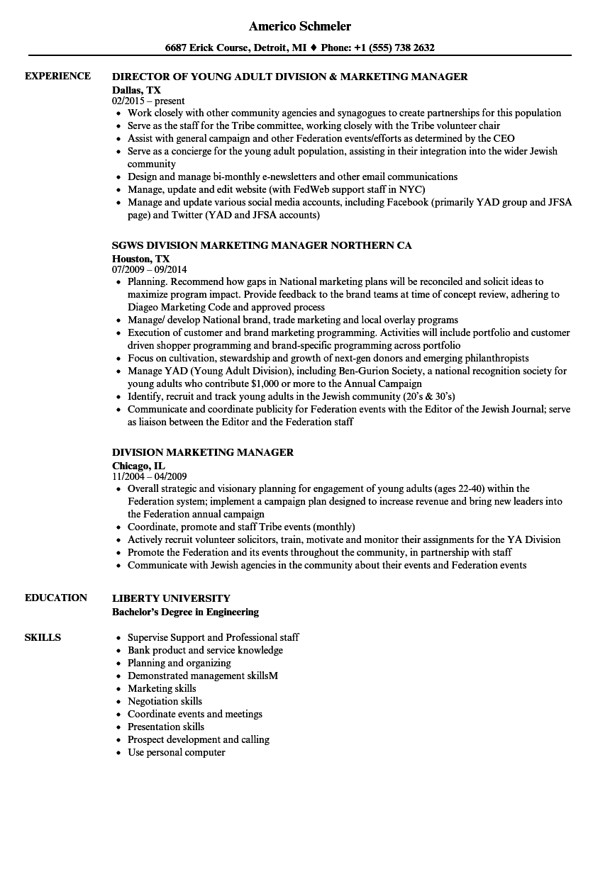 Division Marketing Manager Resume Samples | Velvet Jobs