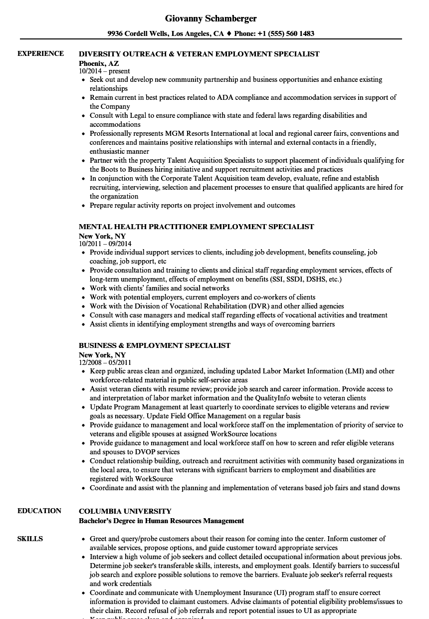 Employment resume examples