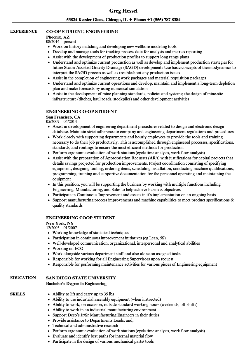 Engineering Student Resume Template from www.velvetjobs.com