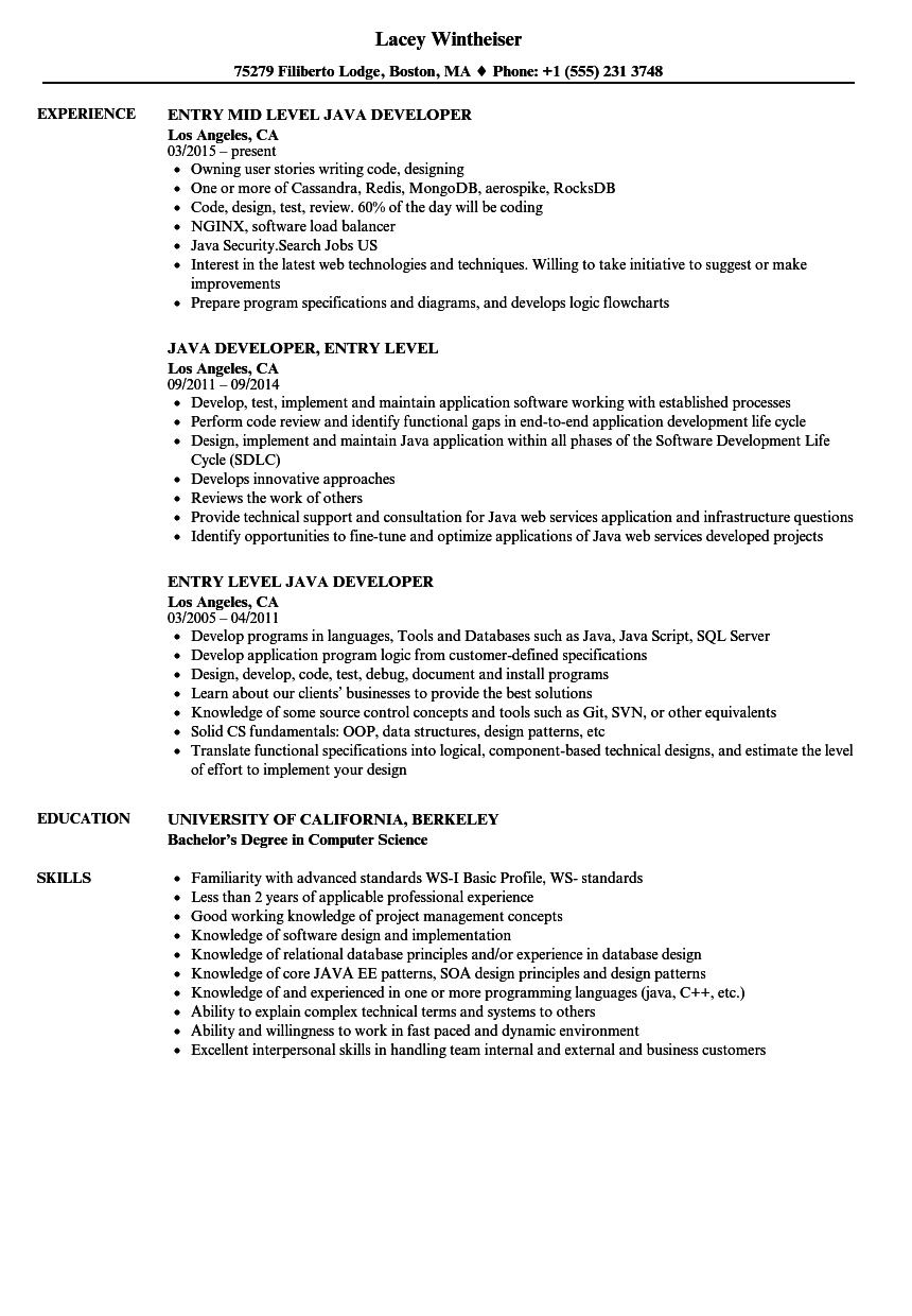 Entry Level Java Developer Resume Samples | Velvet Jobs