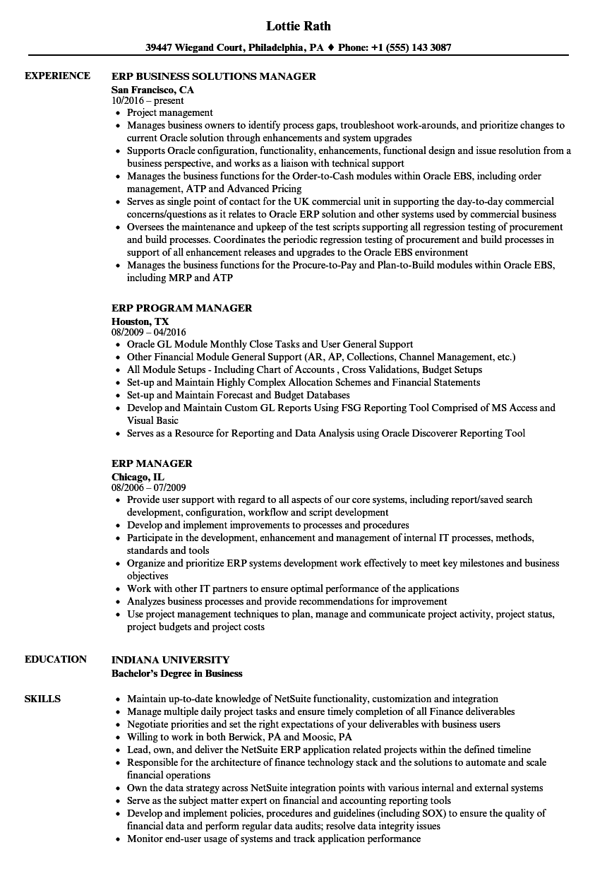 oracle erp project manager resume