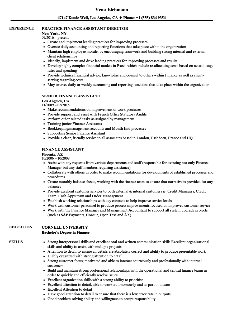 finance assistant resume sample