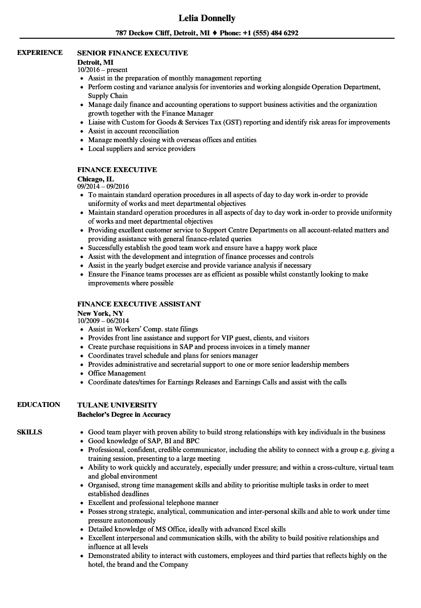 resume sample finance executive
