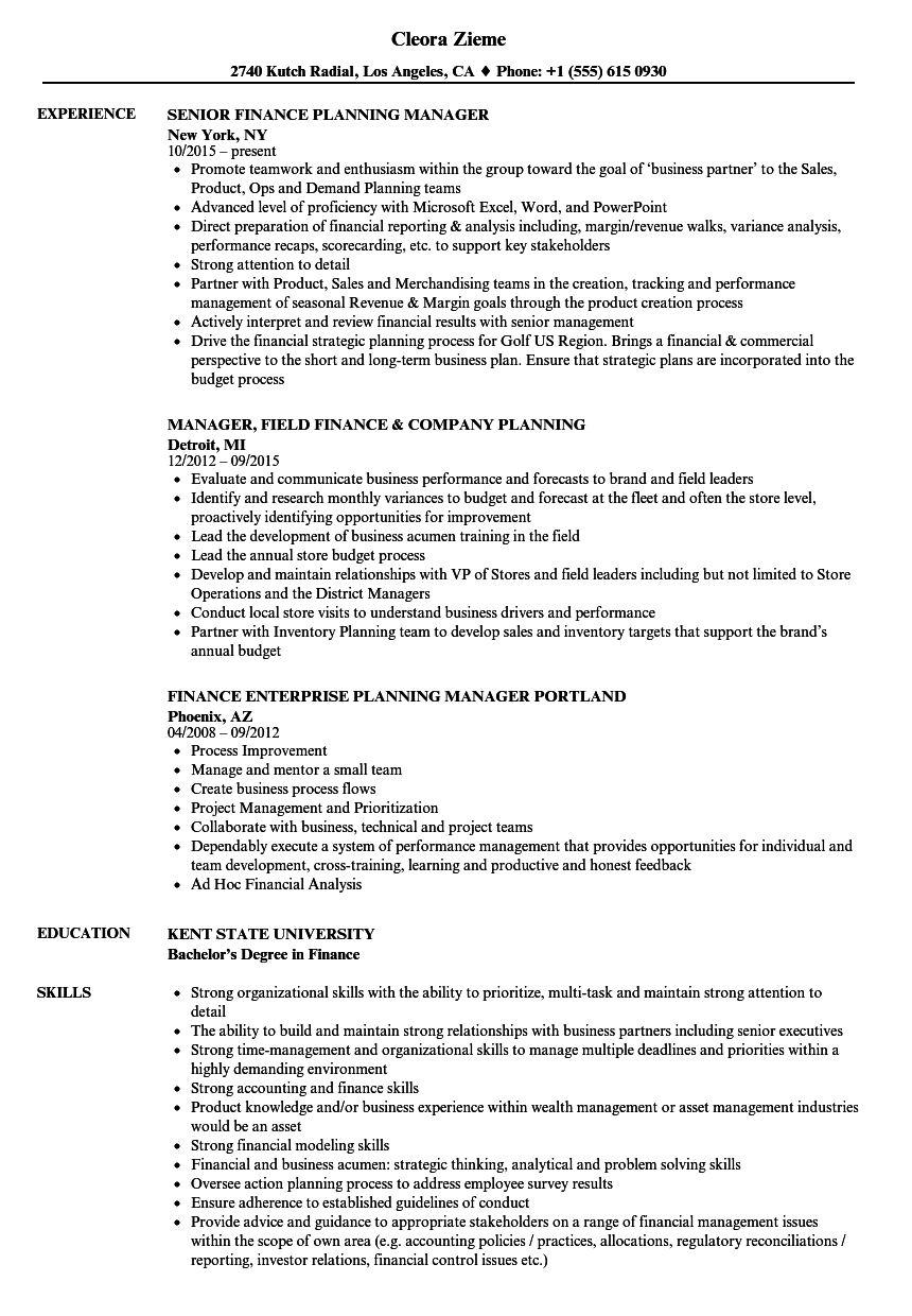 Finance Manager, Planning Resume Samples | Velvet Jobs