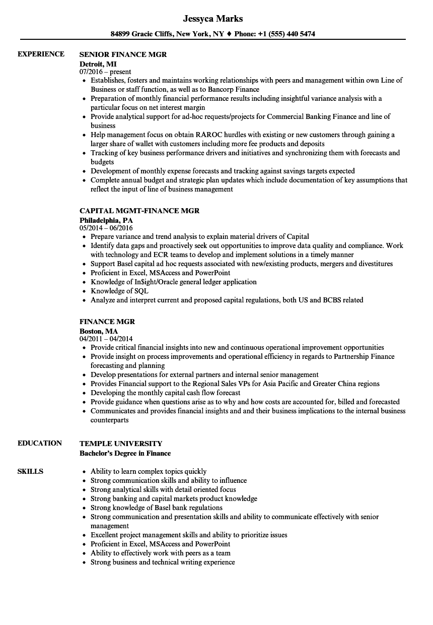 Finance Mgr Resume Samples | Velvet Jobs