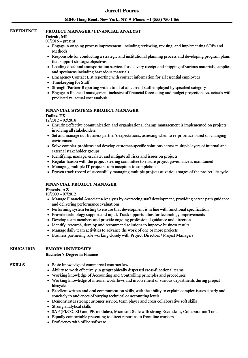 finance project manager resume sample