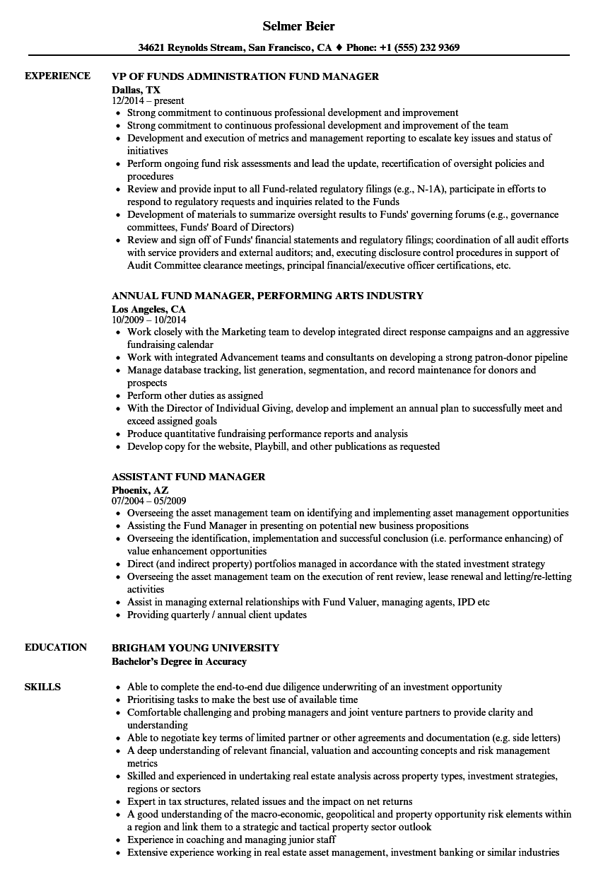 investment manager cv sample