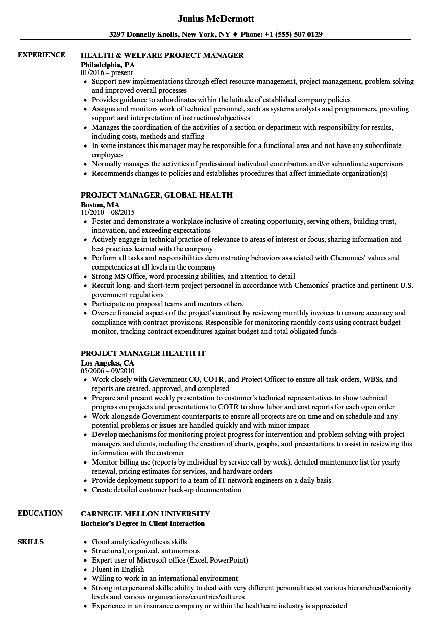 healthcare it project manager resume