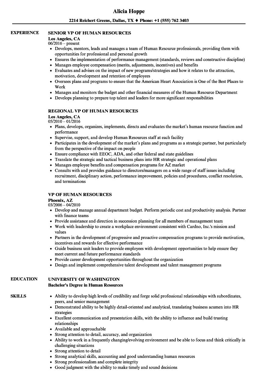 vp hr resume examples